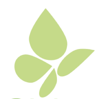 Logo of Pieridae Energy (PEA).
