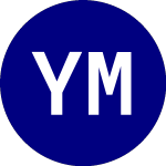 Logo of YieldMax MSTR Option Inc... (MSTY).