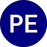 Logo of Paradise Entertainment (PRAE).