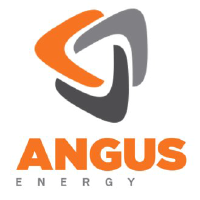 Angus Energy Share Price - ANGS