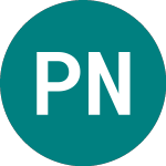 Logo of  (PNE).