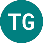 Logo of Trans-siberian Gold (TSGA).