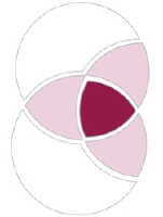 Logo of Hadasit Bio (CE) (HSITF).