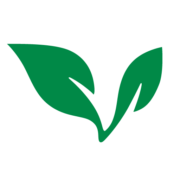 Logo of MedBright AI Investments (QB) (VNNYF).