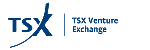 Toronto Stock Exchange Venture Exchange (TSXV)